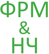 ФРМ-модель и расчет НЧ в системе Бизнес-инженер